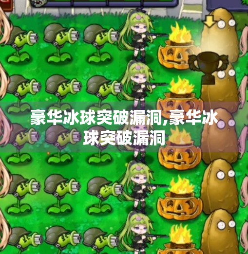 豪华冰球突破漏洞,豪华冰球突破漏洞