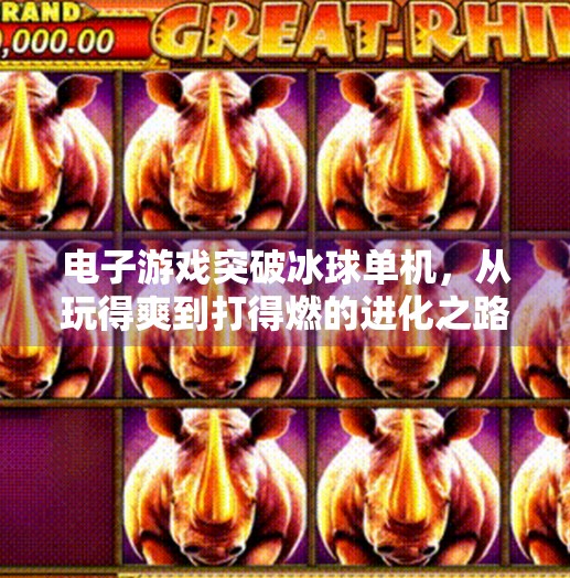 电子游戏突破冰球单机，从玩得爽到打得燃的进化之路,电子游戏突破冰球单机