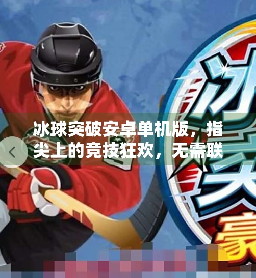冰球突破安卓单机版，指尖上的竞技狂欢，无需联网也能畅享冰雪激情！冰球突破安卓单机版