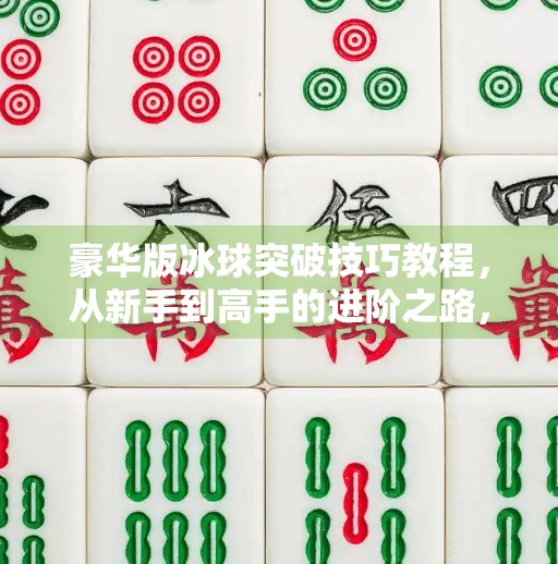 豪华版冰球突破技巧教程，从新手到高手的进阶之路，掌握这5大核心动作就能制霸球场！豪华版冰球突破技巧教程