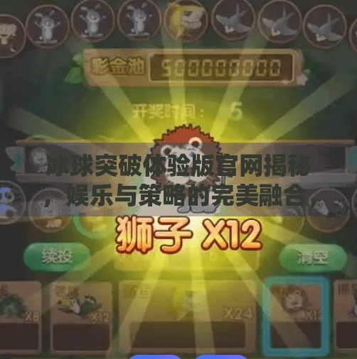 冰球突破体验版官网揭秘，娱乐与策略的完美融合，你真的了解它吗？冰球突破体验版官网