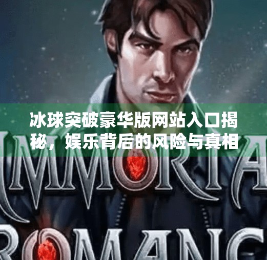 冰球突破豪华版网站入口揭秘，娱乐背后的风险与真相,冰球突破豪华版网站入口