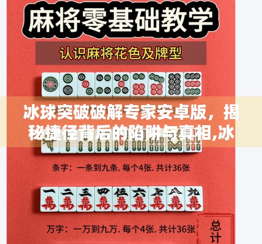 冰球突破破解专家安卓版，揭秘捷径背后的陷阱与真相,冰球突破破解专家安卓版
