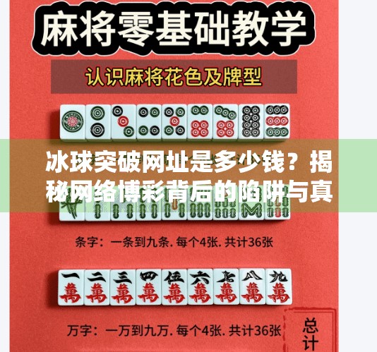 冰球突破网址是多少钱？揭秘网络博彩背后的陷阱与真相,冰球突破网址是多少钱