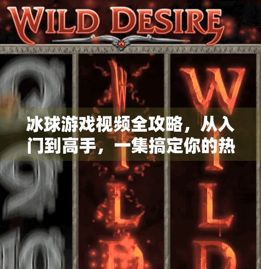 冰球游戏视频全攻略，从入门到高手，一集搞定你的热血激情！游戏突破冰球视频大全集