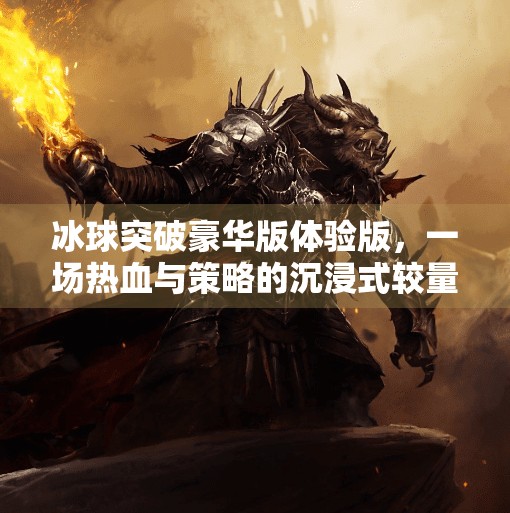 冰球突破豪华版体验版，一场热血与策略的沉浸式较量，你准备好挑战了吗？冰球突破豪华版体验版