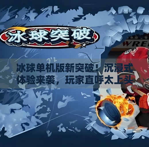 冰球单机版新突破！沉浸式体验来袭，玩家直呼太上头！最新突破冰球单机版下载