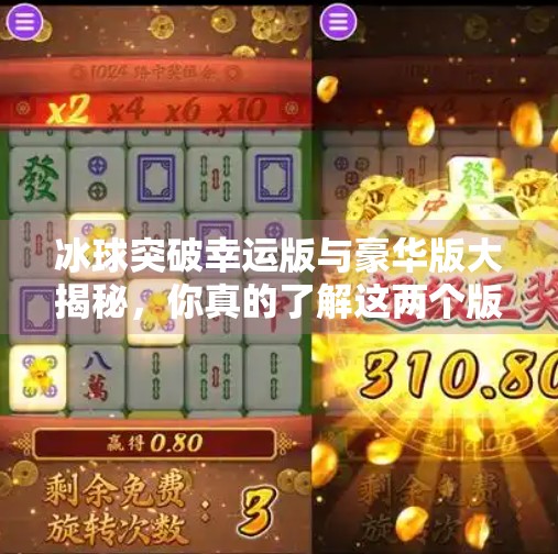 冰球突破幸运版与豪华版大揭秘，你真的了解这两个版本的区别吗？冰球突破幸运版和豪华版