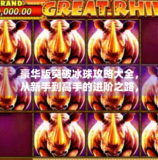 豪华版突破冰球攻略大全，从新手到高手的进阶之路，让你在冰面上如鱼得水！豪华版突破冰球攻略大全