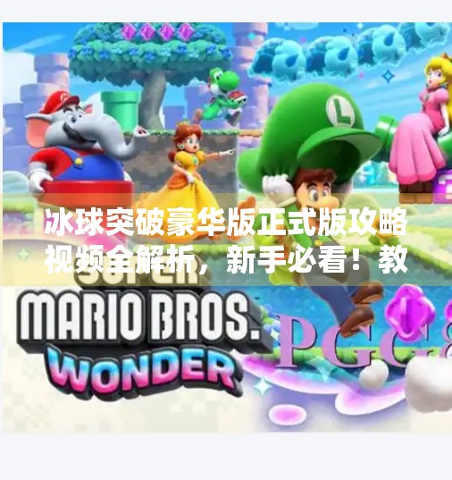 冰球突破豪华版正式版攻略视频全解析，新手必看！教你从零到王者的进阶之路！冰球突破豪华版正式版攻略视频