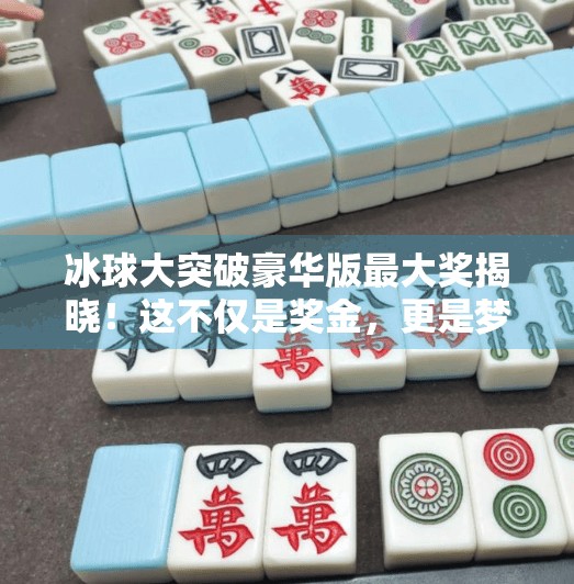 冰球大突破豪华版最大奖揭晓！这不仅是奖金，更是梦想的起点！冰球大突破豪华版最大的奖是什么