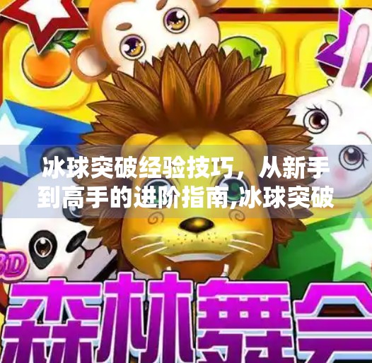 冰球突破经验技巧，从新手到高手的进阶指南,冰球突破经验技巧